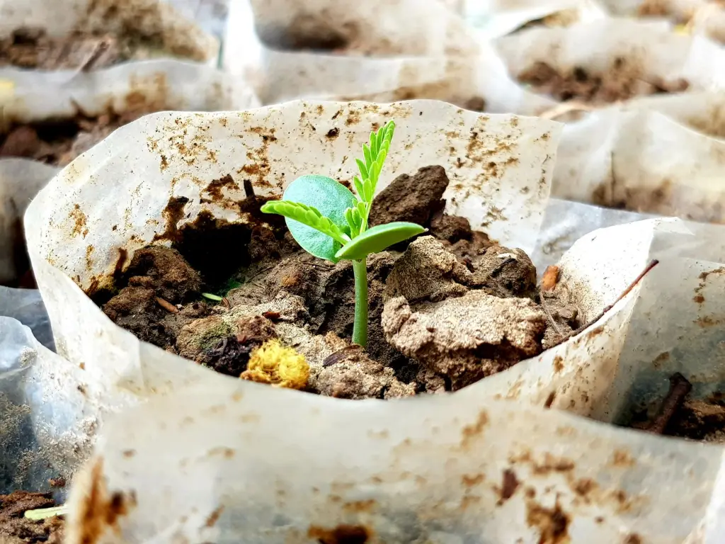 智能开关技术解析：文帝科技如何实现家居设备远程操控与节能管理