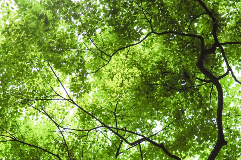 华中地区公寓智能家居系统设计方案与实施要点
