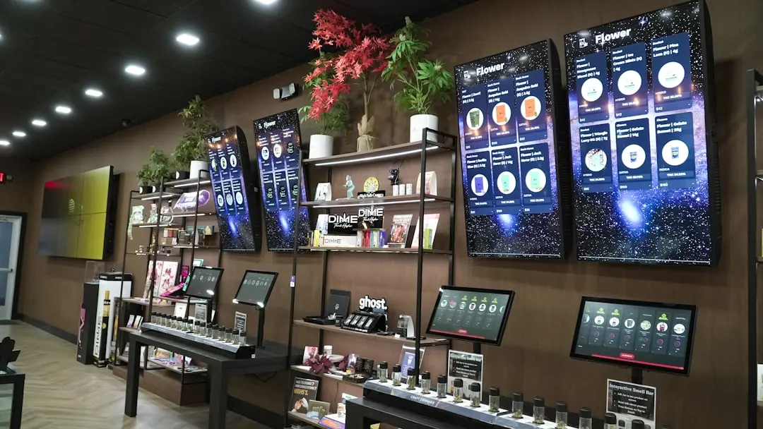 智能家居控制系统中的智能开关与智能插座协同应用技术解析