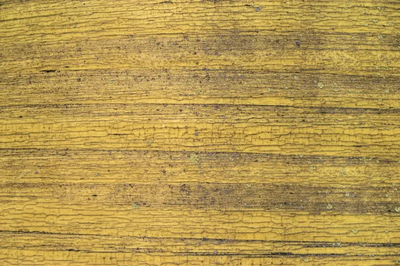 智能家居控制系统中的智能开关与智能插座协同应用方案解析